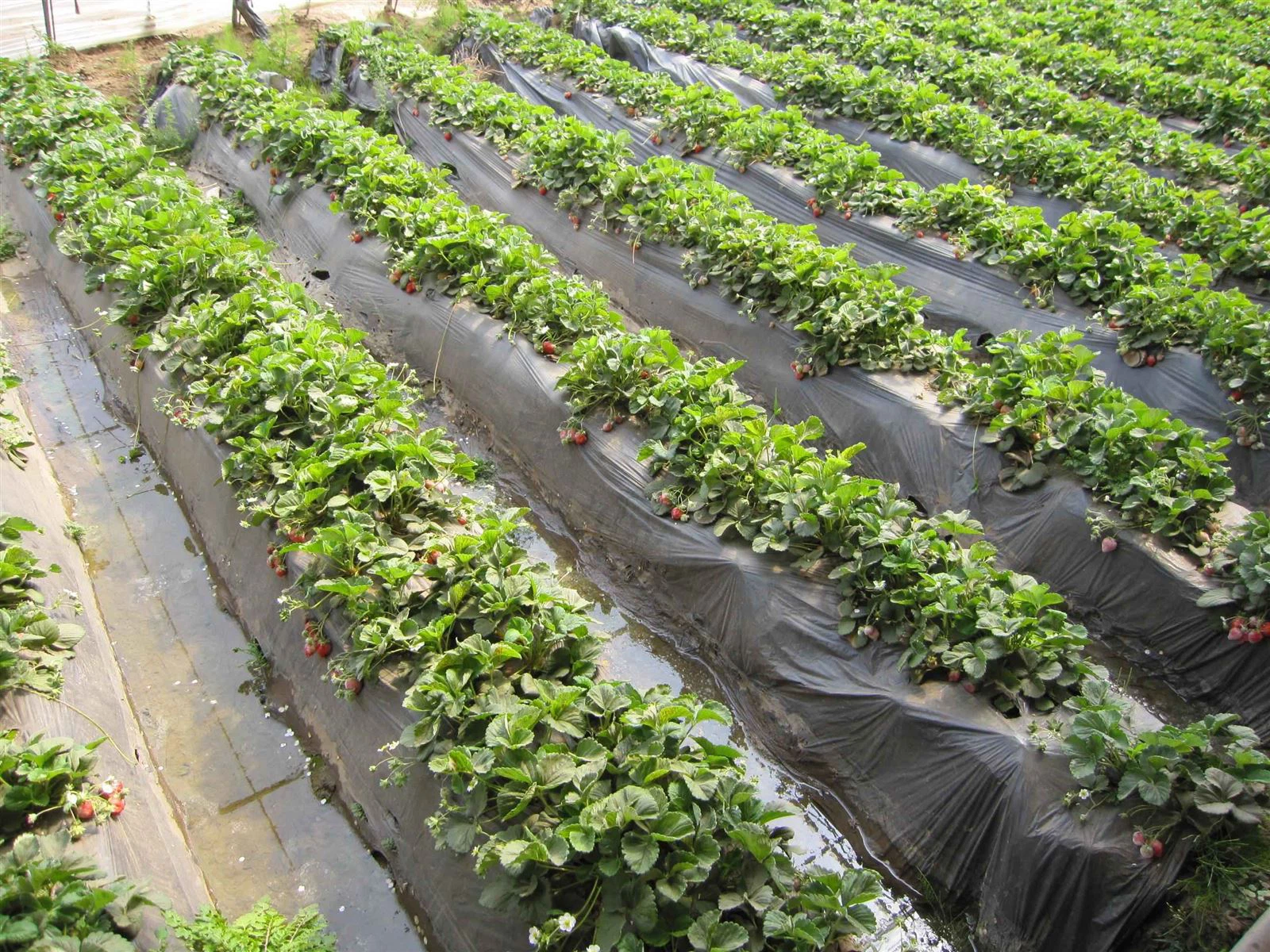 4bed2e738bd4b31c7275bc7e87d6277f9f2ff8ae1 4bed2e738bd4b31c7275bc7e87d6277f9f2ff8ae1