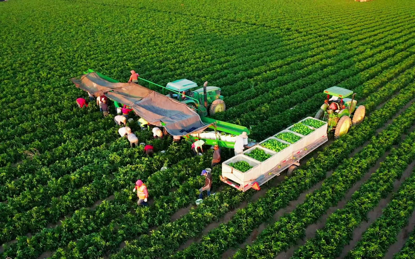 ce332b2adec8dbdb4c84a2258af9a34563df4681 ce332b2adec8dbdb4c84a2258af9a34563df4681